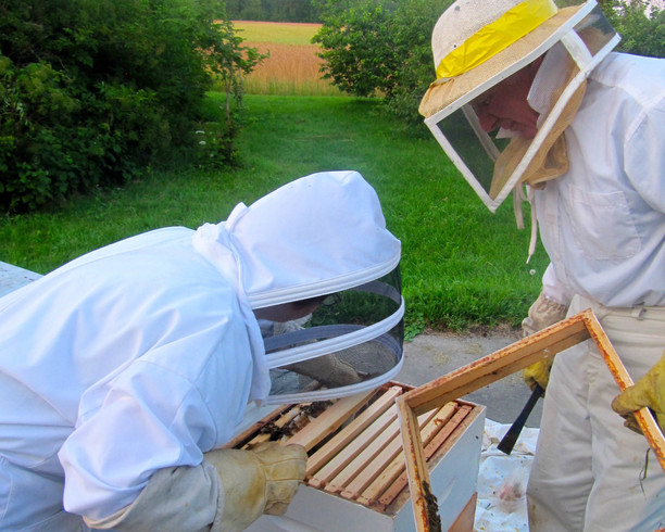 bee keeping