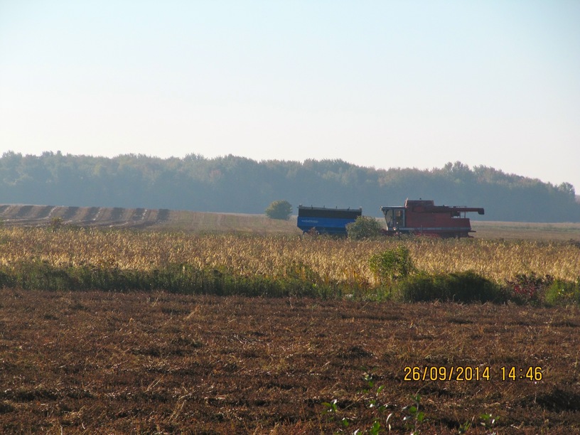 organic farming