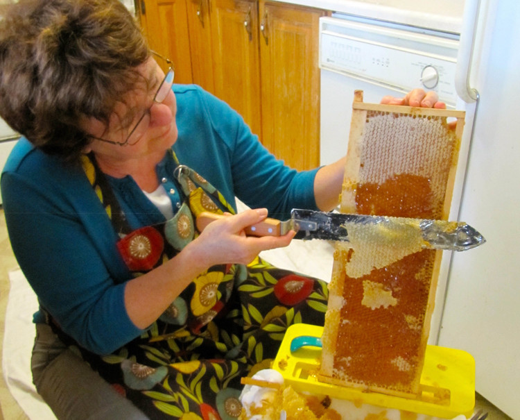 ontario honey