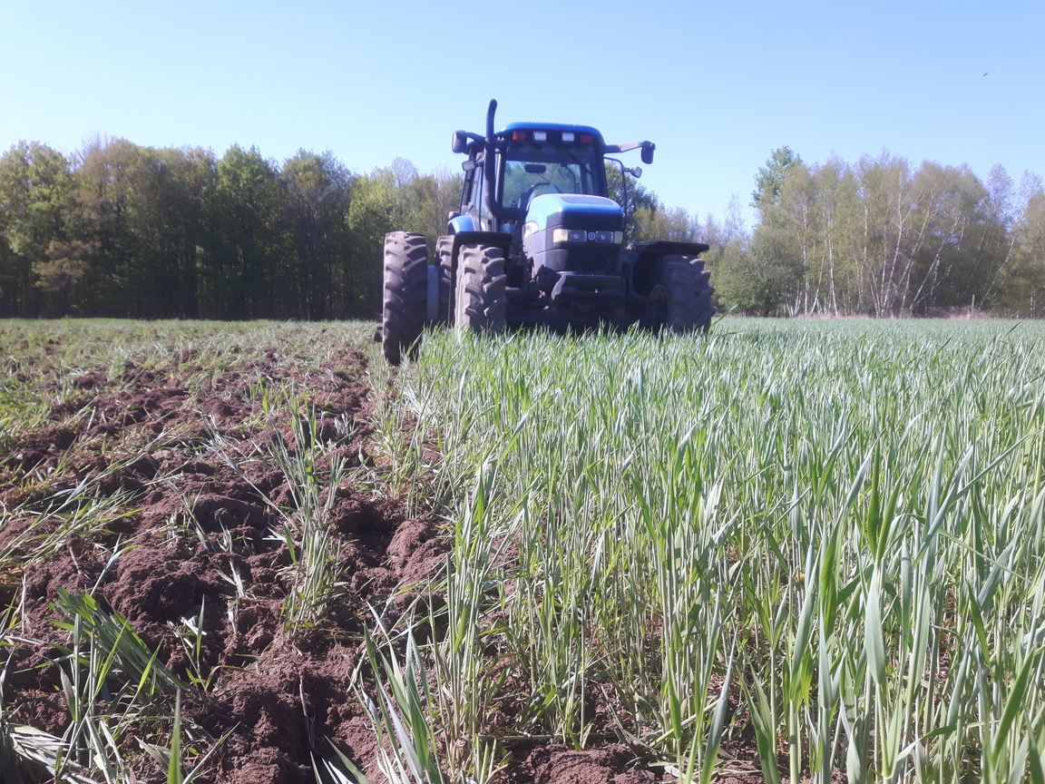 organic farming williamsburg ontario tractor