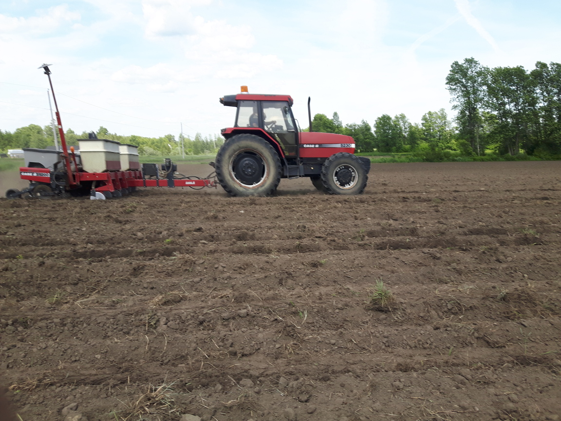 organic farming williamsburg ontario